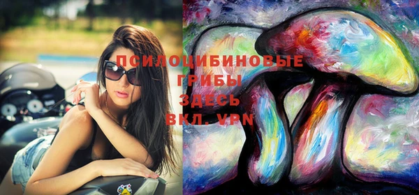 mdpv Алзамай