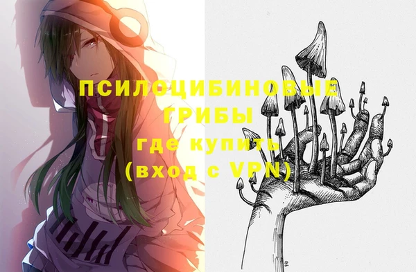 PSILOCYBIN Алексеевка