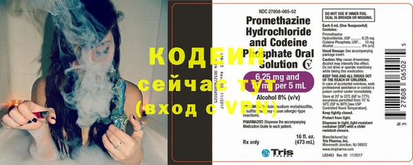 сатива Каменка